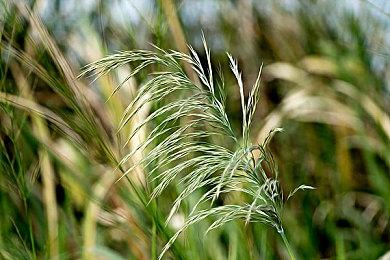 《极限竞速：地平线4》邀请赛暑期极速来袭！